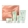 conjunto de presente de beleza ritual noturno golden oasis